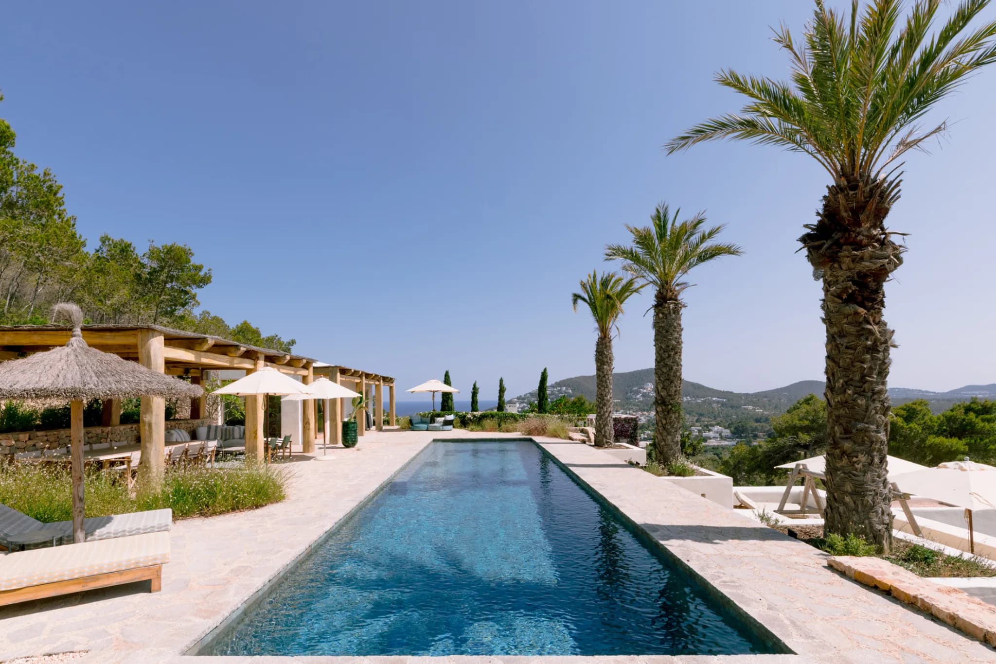 Long lap pool with palm allée